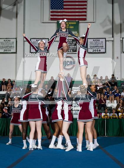 Thumbnail 1 in Section 9 Cheerleading Championship photogallery.