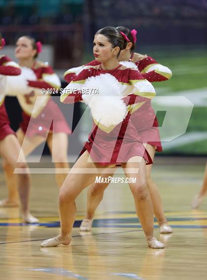 Thumbnail 1 in Ponderosa (CHSAA 5A State Spirit Championships) photogallery.