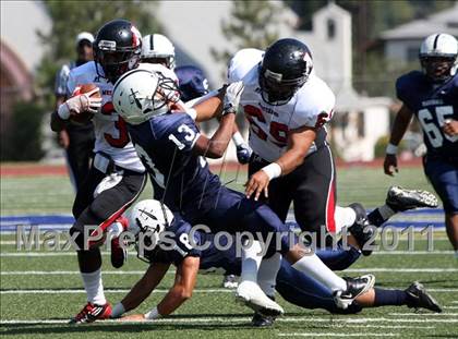 Thumbnail 1 in Arleta @ Marshall photogallery.