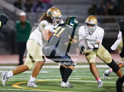Thumbnail 1 in Moreau Catholic @ Castro Valley photogallery.