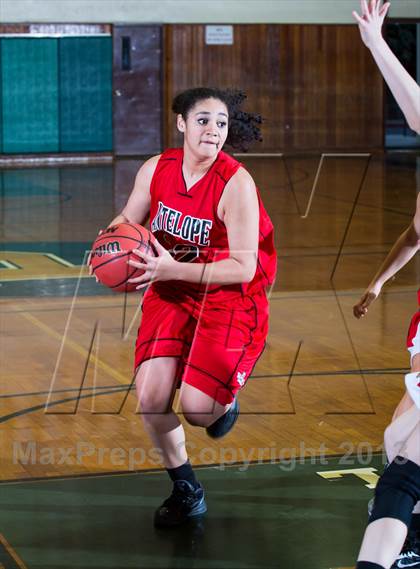 Thumbnail 2 in Antelope vs. Foothill (Coach G Mermorial) photogallery.
