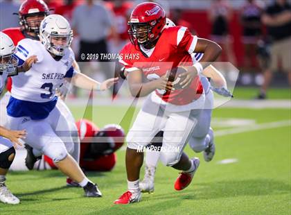 Thumbnail 2 in Shepherd @ Shelbyville photogallery.