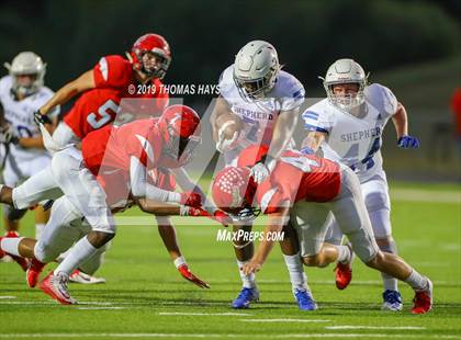 Thumbnail 2 in Shepherd @ Shelbyville photogallery.