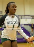 Photo from the gallery "Mayde Creek @ Morton Ranch"