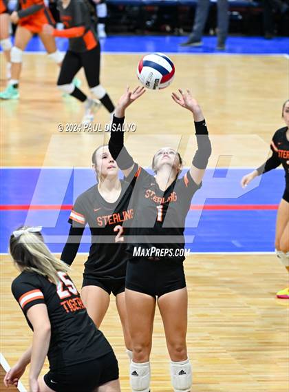 Thumbnail 1 in Sterling vs. Peak to Peak (CHSAA 3A First Round) photogallery.