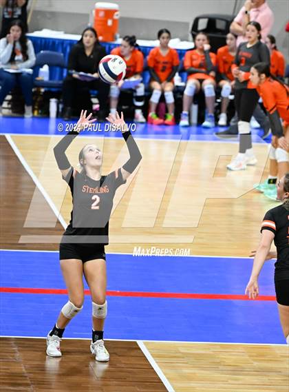 Thumbnail 3 in Sterling vs. Peak to Peak (CHSAA 3A First Round) photogallery.