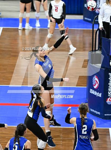 Thumbnail 2 in Sterling vs. Peak to Peak (CHSAA 3A First Round) photogallery.