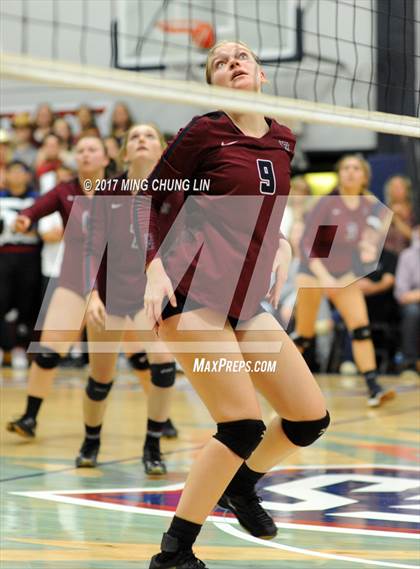 Thumbnail 1 in Malibu @ Capistrano Valley Christian (CIF SS D8 Semifinal Playoff) photogallery.