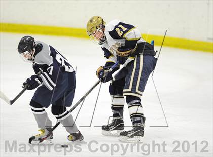Thumbnail 1 in Staples/Weston/Shelton vs. Notre Dame-Fairfield (Carrano Cup Quarterfinal) photogallery.