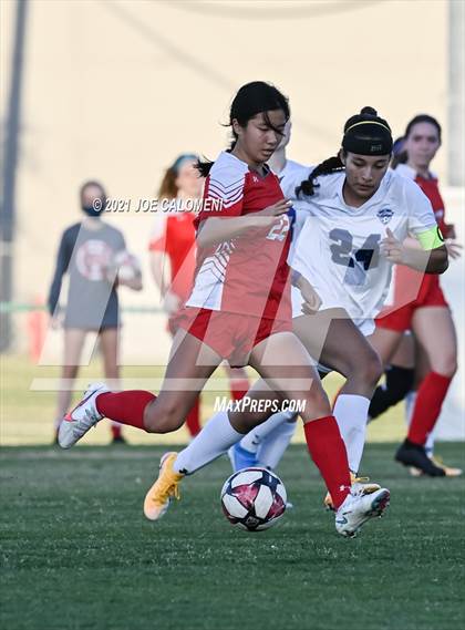 Thumbnail 2 in Lee [Robert E.] vs MacArthur [Douglas] photogallery.