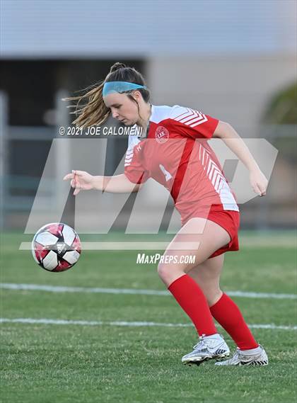 Thumbnail 1 in Lee [Robert E.] vs MacArthur [Douglas] photogallery.