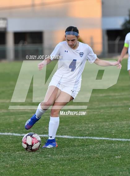 Thumbnail 3 in Lee [Robert E.] vs MacArthur [Douglas] photogallery.