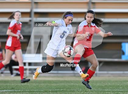 Thumbnail 3 in Lee [Robert E.] vs MacArthur [Douglas] photogallery.
