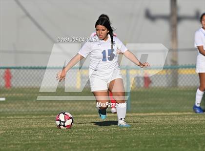 Thumbnail 2 in Lee [Robert E.] vs MacArthur [Douglas] photogallery.