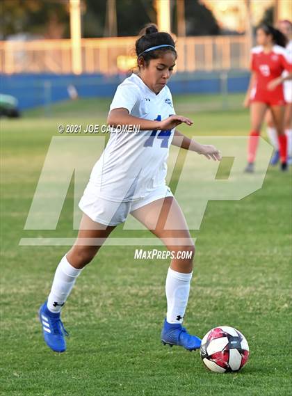 Thumbnail 3 in Lee [Robert E.] vs MacArthur [Douglas] photogallery.