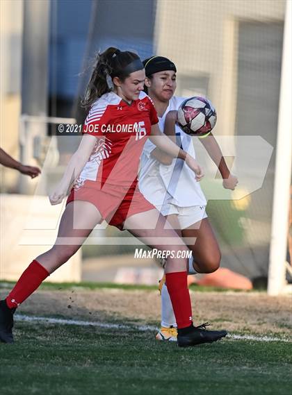 Thumbnail 3 in Lee [Robert E.] vs MacArthur [Douglas] photogallery.