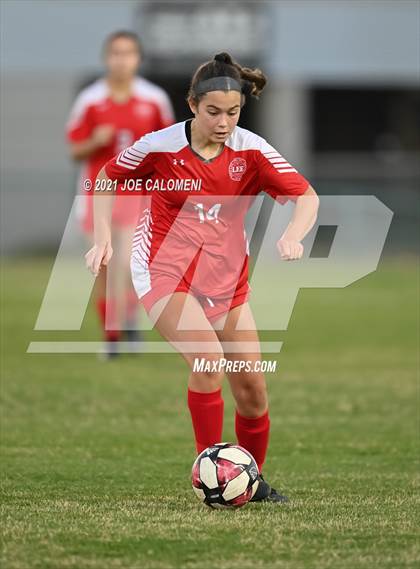 Thumbnail 1 in Lee [Robert E.] vs MacArthur [Douglas] photogallery.