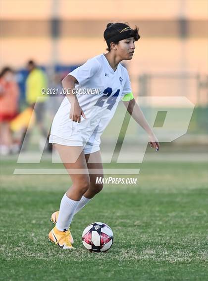 Thumbnail 1 in Lee [Robert E.] vs MacArthur [Douglas] photogallery.