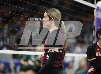 Thumbnail 1 in Faith Christian vs. Alamosa (CHSAA 3A 2nd Round) photogallery.