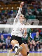 Photo from the gallery "Faith Christian vs. Alamosa (CHSAA 3A 2nd Round)"
