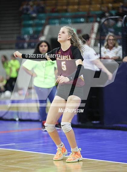 Thumbnail 1 in Faith Christian vs. Alamosa (CHSAA 3A 2nd Round) photogallery.