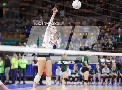 Thumbnail 3 in Faith Christian vs. Alamosa (CHSAA 3A 2nd Round) photogallery.
