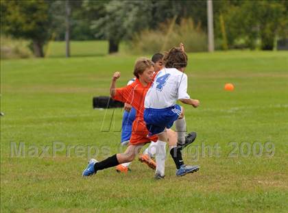 Thumbnail 2 in Mt. Vernon @ Cahokia photogallery.
