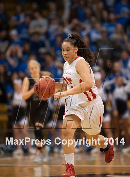 Thumbnail 1 in Poudre vs. Regis Jesuit (CHSAA 5A Semifinal) photogallery.