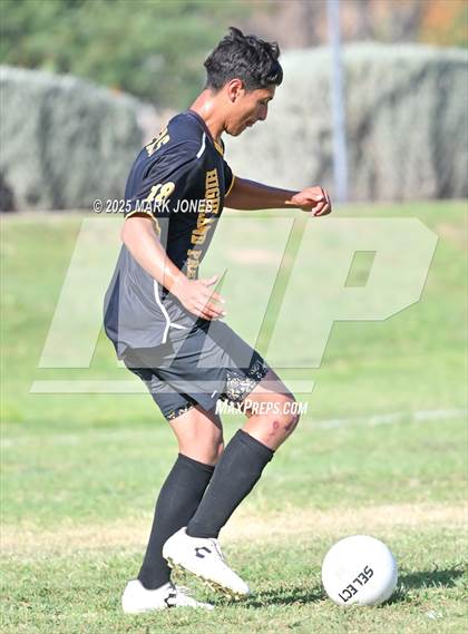 Thumbnail 3 in Northland Prep Academy @ Highland Prep photogallery.