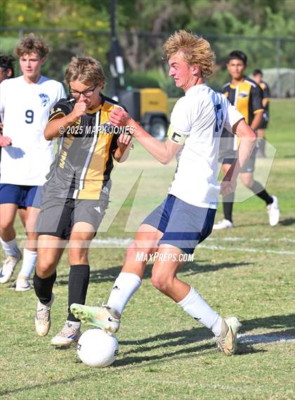 Thumbnail 2 in Northland Prep Academy @ Highland Prep photogallery.