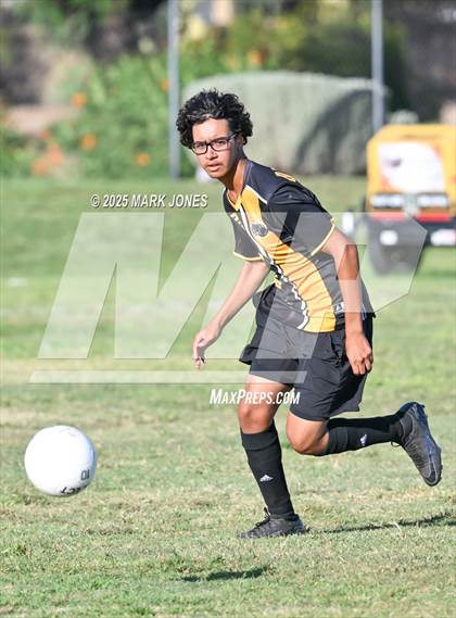 Thumbnail 2 in Northland Prep Academy @ Highland Prep photogallery.