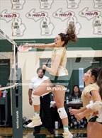 Photo from the gallery "Our Lady of the Lakes @ Notre Dame Prep (NDP Quad)"