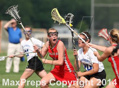 Thumbnail 1 in Conard @ Glastonbury photogallery.