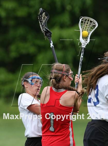 Thumbnail 2 in Conard @ Glastonbury photogallery.