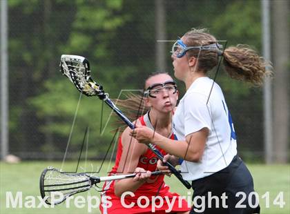 Thumbnail 1 in Conard @ Glastonbury photogallery.