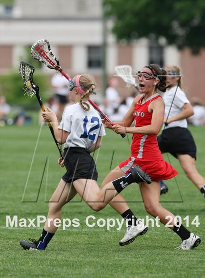 Thumbnail 1 in Conard @ Glastonbury photogallery.