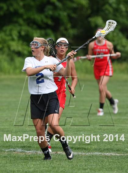 Thumbnail 2 in Conard @ Glastonbury photogallery.