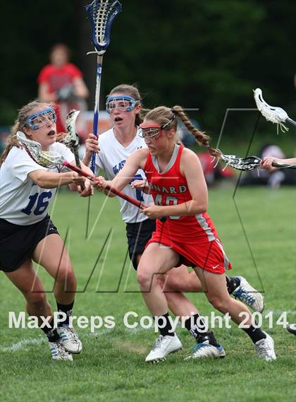 Thumbnail 1 in Conard @ Glastonbury photogallery.