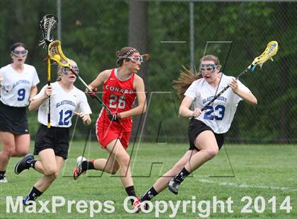 Thumbnail 3 in Conard @ Glastonbury photogallery.