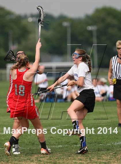 Thumbnail 1 in Conard @ Glastonbury photogallery.