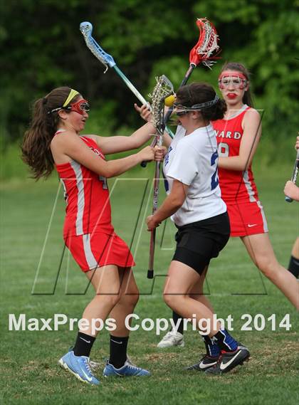 Thumbnail 1 in Conard @ Glastonbury photogallery.