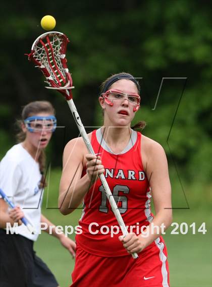 Thumbnail 2 in Conard @ Glastonbury photogallery.
