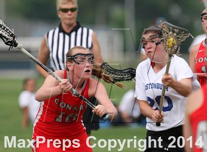 Thumbnail 3 in Conard @ Glastonbury photogallery.