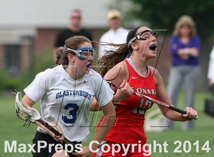 Thumbnail 1 in Conard @ Glastonbury photogallery.