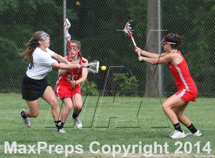 Thumbnail 2 in Conard @ Glastonbury photogallery.
