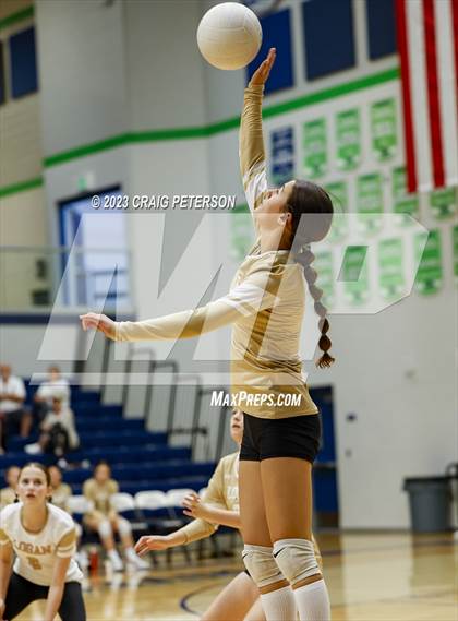 Thumbnail 2 in Logan @ Ridgeline photogallery.