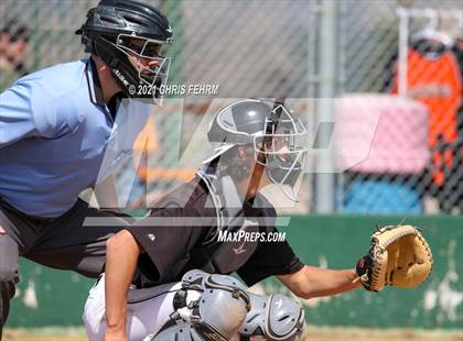 Thumbnail 1 in Vista Ridge @ Lewis-Palmer photogallery.
