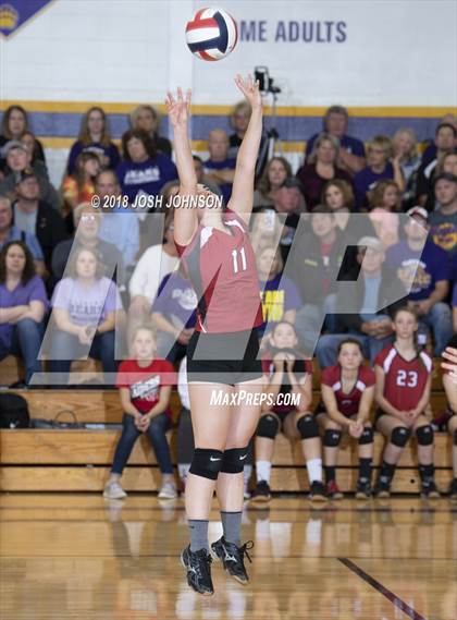 Thumbnail 1 in Clayton vs. Elmwood (WIAA D4 Regional Semifinal) photogallery.