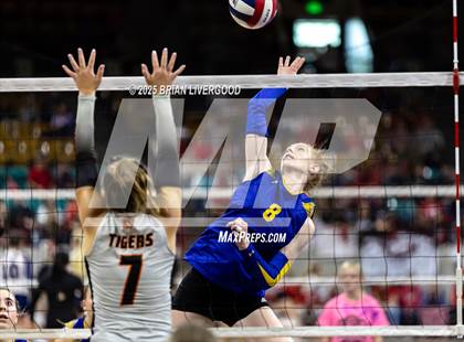 Thumbnail 2 in Simla vs. Wiggins (CHSAA 2A Semifinal) photogallery.