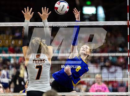 Thumbnail 1 in Simla vs. Wiggins (CHSAA 2A Semifinal) photogallery.